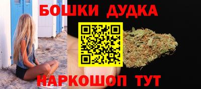 МДПВ Лесосибирск