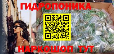 шишки Ливны