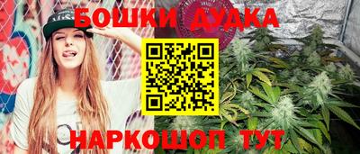 МДПВ Лесосибирск